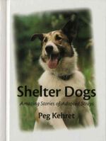 Shelter Dogs: Amazing Stories of Adopted Strays