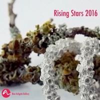Rising Stars 2016 1326562835 Book Cover