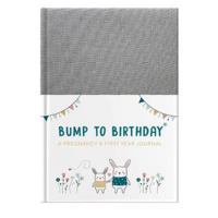 Bump To Birthday - Pregnancy & First Year Journal (Foil And Fabric) - an award-winning journal / diary to help you hold onto memories of the growing ... year with your baby (Journals of a Lifetime) 1907860940 Book Cover