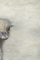 Magicae Book Two: The Storm of Garmr B086PRKV6Z Book Cover