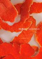 Ute Bartel: mansionaticum 3947563744 Book Cover