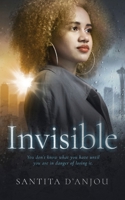 Invisible 057876041X Book Cover