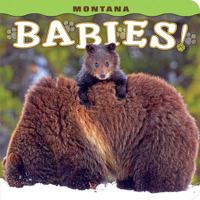 Montana Babies! 1560376791 Book Cover