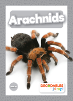 Arachnids B0BY1GFMHJ Book Cover