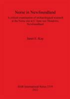 Norse in Newfoundland: A Critical Examination of Archaeological Research at the Norse Site at L'Anse aux Meadows, Newfoundland 1407309226 Book Cover