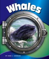 Whales 1503816958 Book Cover