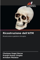 Ricostruzione dell'ATM 6206545342 Book Cover