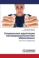 Социальная адаптация несовершеннолетних обвиняемых: Понятие и содержание 3845423234 Book Cover
