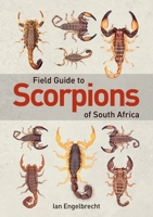 Field Guide to Scorpions of South Africa 1775845745 Book Cover
