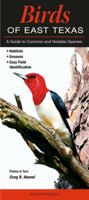 Birds of East Texas: A Guide to Common & Notable Species 1943334374 Book Cover