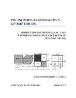 Polinomios Algebraicos y Geometricos (Productos Notables Planos y Factorizacion): Productos Notables en el Plano y sus factorizaciones con la Ecuacion de Segundo grado 1502888963 Book Cover