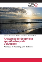 Anatomía de Scaphella spp.(Gastropoda: Volutidae) 3659061794 Book Cover