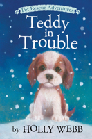 Timmy in Trouble 168010411X Book Cover
