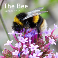 The Bee Calendar 2020 1913134172 Book Cover