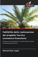 Fattibilità della realizzazione del progetto Tecnica economico-finanziaria 6207383788 Book Cover