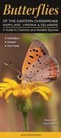Butterflies of the Eastern Chesapeake: Maryland, Virginia & Delaware: A Guide to Common & Notable Species 1936913909 Book Cover