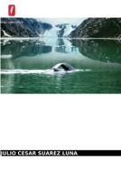 O sentido da vida no homem do século XXI: Ensaios sobre a Logoterapia no Século da Redução Cientifica 6203613762 Book Cover