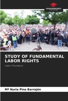 Study of Fundamental Labor Rights 6209856586 Book Cover