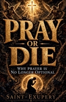 Pray or Die: Why Prayer Is No Longer Optional B0GR62CSRX Book Cover