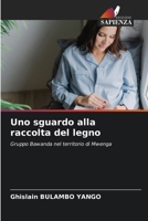 Uno sguardo alla raccolta del legno 6209123805 Book Cover