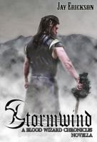 Blood Wizard Chronicles: Stormwind 1942958005 Book Cover