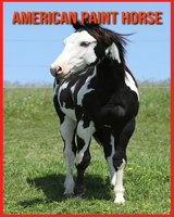 American Paint Horse: Amazing Photos & Fun Facts Book About American Paint Horse For Kids B08W7DPMSN Book Cover