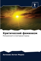 Критический феминизм: Реляционный и эгалитарный подход 6203664278 Book Cover