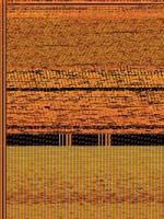 Into the Tiger's Mouth: A Novel of the China Trade, 1857-1863 1480806633 Book Cover