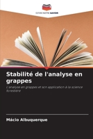 Stabilité de l'analyse en grappes 6205856166 Book Cover