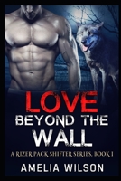 Love Beyond the Wall 1093386525 Book Cover