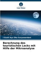 Berechnung des touristischen Lecks mit Hilfe der Mikroanalyse (German Edition) 6208040817 Book Cover