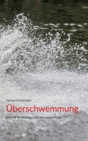 Überschwemmung: Ein Fall für Château und den wilden Franz 3734706769 Book Cover