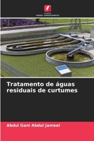 Tratamento de águas residuais de curtumes (Portuguese Edition) 6208348145 Book Cover