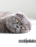 Notebook: Unlined - Unruled - Plain Notebook - Blank Journal - 130 Pages - Large Format 8.5 x 11 in - Workbook - Composition - Cats - Abyssinian Cover Design - Made in The USA for USA orders 1716113105 Book Cover