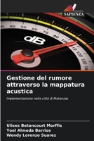 Gestione del rumore attraverso la mappatura acustica 6205743809 Book Cover