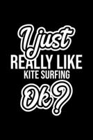 I Just Really Like Kite Surfing Ok?: Christmas Gift for Kite Surfing lover Funny Kite Surfing Journal Nice 2019 Christmas Present for Kite Surfing 6x9inch 120 pages 1702469913 Book Cover