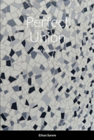 Perfect Union: World government... 1312698640 Book Cover
