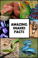 Amazing Snakes Facts: Fun Facts about Snakes Guaranteed to Blow Your Mind B0CHL46ZK3 Book Cover