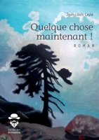 Quelque chose maintenant (French Edition) 2342168837 Book Cover