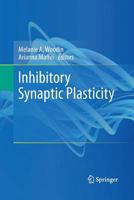 Inhibitory Synaptic Plasticity 1489981276 Book Cover