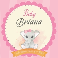 Baby Briana A Simple Book of Firsts: First Year Baby Book a Perfect Keepsake Gift for All Your Precious First Year Memories B083XVGVY1 Book Cover