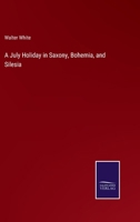 A July Holiday in Saxony, Bohemia, and Silesia 1018297871 Book Cover