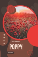 Poppy: Simply beginners guide B0CW2KHBBX Book Cover