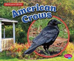 American Crows 1491485159 Book Cover