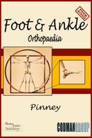 Musculoskeletal Medicine : Foot and Ankle 1733125701 Book Cover
