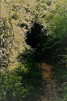 Hortus Conclusus B08DHBWQVW Book Cover