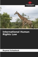 International Human Rights Law 6207309723 Book Cover