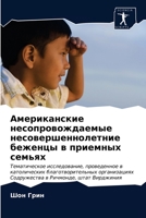 Американские несопрово&# 6202869267 Book Cover