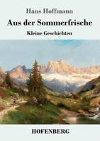 Aus der Sommerfrische: Kleine Geschichten 3743725703 Book Cover