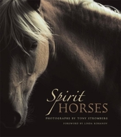 Spirit Horses 1608681424 Book Cover